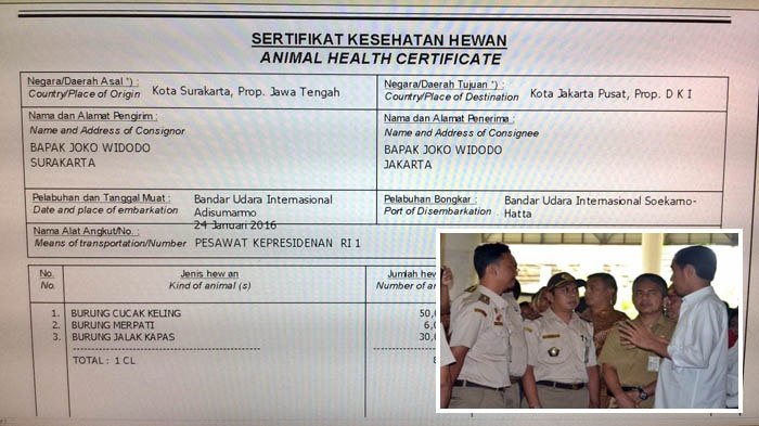 Presiden Jokowi Periksakan 86 Ekor Burung Peliharaan ke Karantina Pertanian Yogyakarta